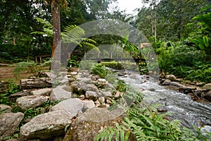 Mae Kampong waterfall and river in green forest, Thailand