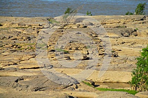 Mae Khong river bank