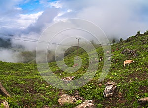 Mae La Noi City in Mae Hong Son Province