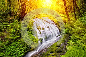 Mae pan waterfall in sunlight at Doi Inthanon Nation Park, Chiang Mai, Thailand