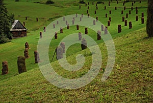 Maedow after haymaking with sheaves.