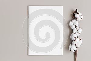 Magazine mockup with a cotton branch on the beige table