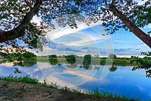 Magdalena River and Trees photo