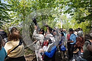 MAGEE MARSH, OH, USA-MAY 11, 2023: Bird watchers, nature lovers and photographers watching the migration o