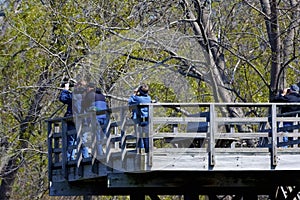 Magee Observation Platform  812739