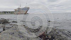 Magellanic King Crab Near Abandoned Ship at Slowed Waters