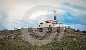 The Magellanic penguins with the Lighthouse of Magdalena Island background,