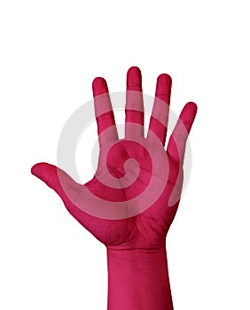 Magenta color hand show five finger isolated on white background