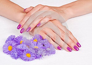 Magenta fingernails and purple flowers