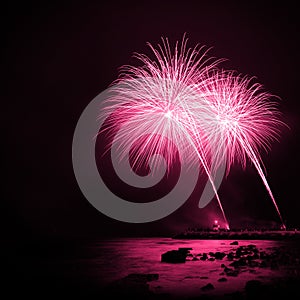 Magenta Fireworks