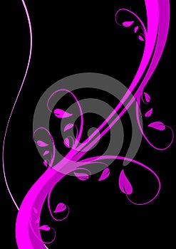 Magenta Floral Background