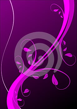 Magenta Floral Background