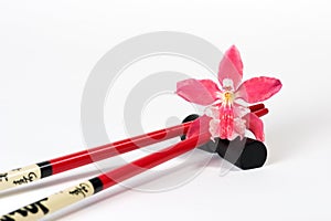 Magenta orchid and chopsticks