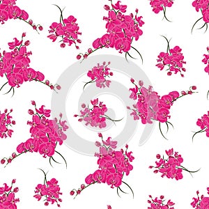 Magenta orchid rococo seamless vector pattern