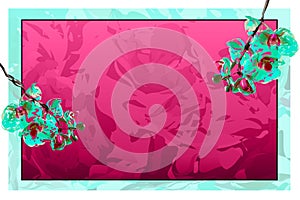 Magenta Teal Orchid Banner