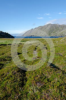 Mageroya Island of Norway