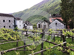 The Maggia river in the Maggia Valley or Valle Maggia Fluss Maggia im Maggiatal