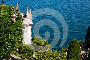 Maggiore lake in Italy, beautiful garden with oleander bushes in