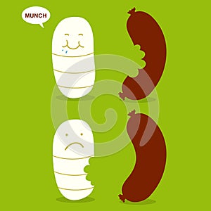 Maggot and sausage photo