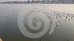 Magh Mela in Allahabad photo