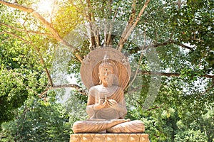 Magha Asanha Visakha Puja Day , stone buddha