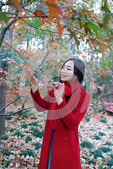 Magic autumn,Fall woman happy and bliss , Beautiful woman in autumn park