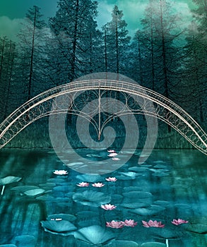 Magic bridge over a water lily lake