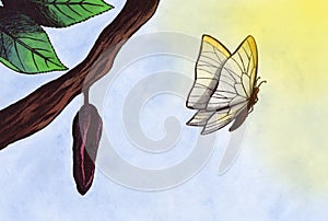 Magic Butterfly (Zen Pictures, 2011)