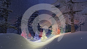 Magic Christmas Night