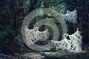 Matný světlo strašidelný les tři strašidelný duchové 