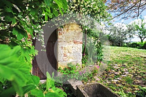 Magic door in the garden with beautiful plants