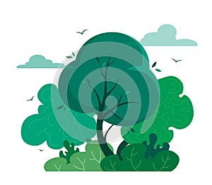 Magic and fairy forest in cartoon style. Vector tree isolate on white background. Forest or outdoor park