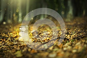 Magic fairy forest with fireflies and a bright lamp, mysterious