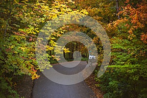 Magic fairy tale forest and fall forest path leading trough it.  old car, autumn plants