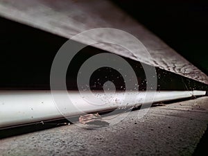 flying autumn leaves