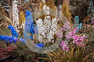 Magic floral garden