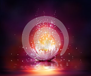 Magic flower on water photo