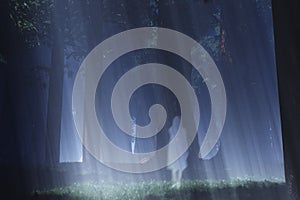 Magic Forest Ghost 2