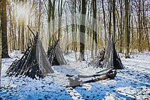 Magic forest during  winter with falling snow sunny day. Snow forest snowfall. Christmas Winter New Year background magnificent sc