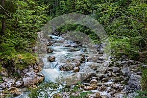 Magic Forest Zauberwald at Lake Hintersee with Creek Ramsauer Ache. National Park Berchtesgadener Land, Germany