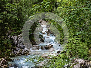 Magic Forest Zauberwald at Lake Hintersee with Creek Ramsauer Ache. National Park Berchtesgadener Land, Germany