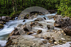 Magic Forest Zauberwald at Lake Hintersee with Creek Ramsauer Ache. National Park Berchtesgadener Land, Germany