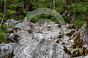 Magic Forest Zauberwald at Lake Hintersee with Creek Ramsauer Ache. National Park Berchtesgadener Land, Germany