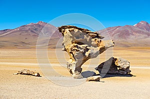 Rock Tree in the Siloli Desert, Bolivia photo