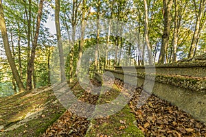 Magic image of the staircase of the ruins of amphitheater in the open air