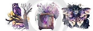 Magic items and pets of the dark witch