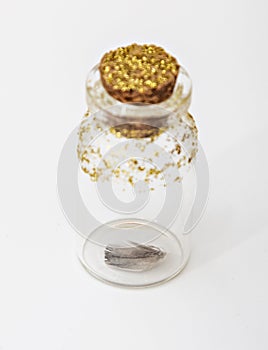 Magic jar with the smallest feather, deams, wish