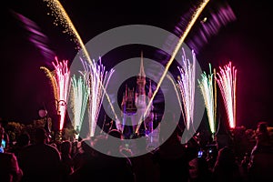 Magic Kingdom fireworks 3