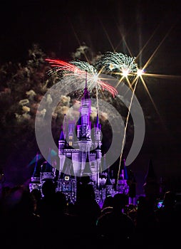 Magic Kingdom fireworks 7
