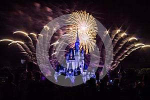 Magic Kingdom fireworks 9